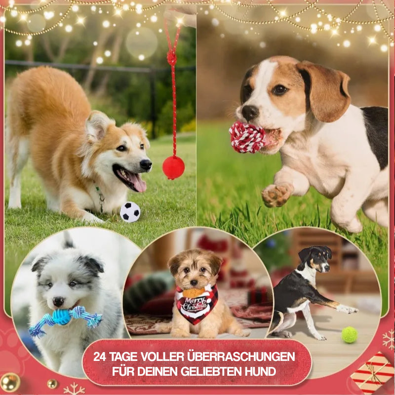 1763572828691dfc5cb458e1039641